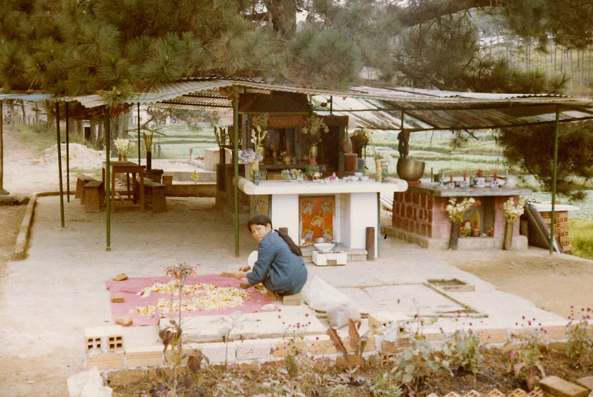 Miếu thờ bên đường quốc lộ. Ảnh: Tom Petersen.