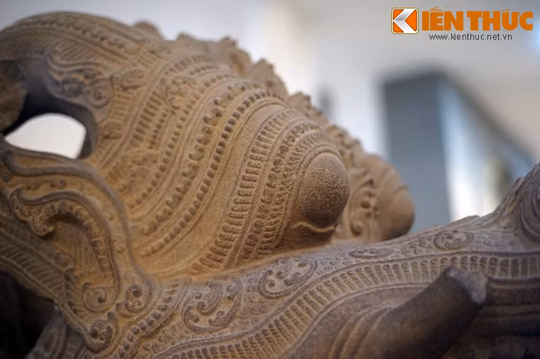 Mắt rồng lồi như mắt ếch.