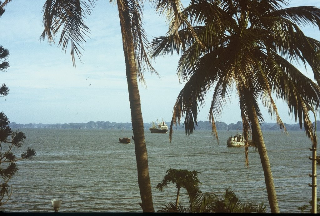 Một góc vịnh Hạ Long nhìn từ thị xã Hòn Gai. Ảnh: Günter Mosler.