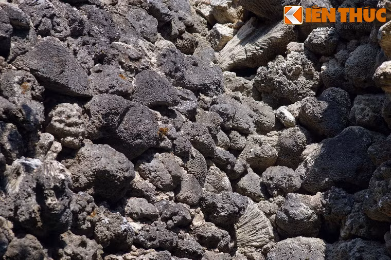 Nhà chùa không sử dụng bê tông cốt thép mà chủ yếu dựa xây tường chịu lực. Theo đó, phần cốt hoàn toàn bằng đá san hô chết.