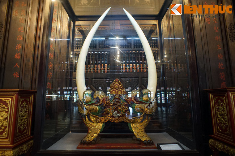 Cặp ngà voi này dài khoảng 1,2m, dáng cân đối với độ cong đồng đều, có thể thuộc về một con voi thuộc sở hữu của triều đình Nguyễn xưa.