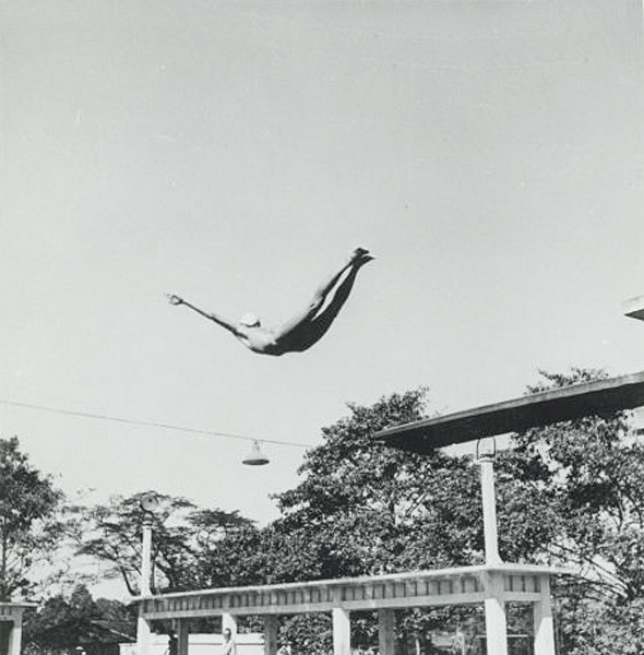 Pha "bay lượn" ấn tượng ở hồ bơi.