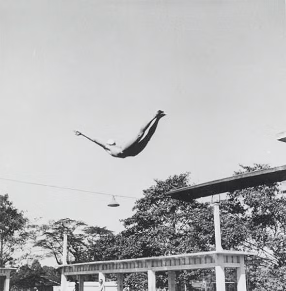 Pha "bay lượn" ấn tượng ở hồ bơi.