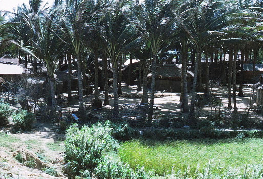 Một ngôi làng bên Quốc lộ 1 ở Phú Yên. Ảnh: Steve.