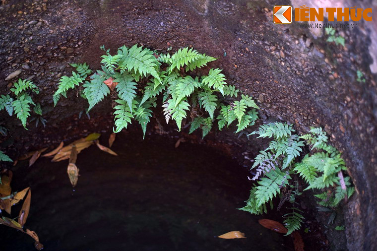 Đặc biệt, nước giếng có vị ngon không giếng nào sánh bằng.