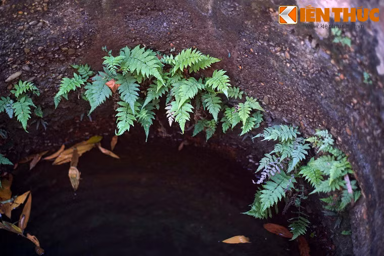 Đặc biệt, nước giếng có vị ngon không giếng nào sánh bằng.