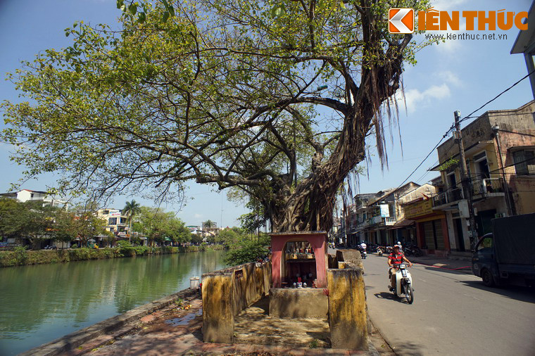 Đường Bạch Đằng chạy dọc theo bờ sông Đông Ba chính là một khu phố cổ trù phú bậc nhất của Gia Hội xưa kia.