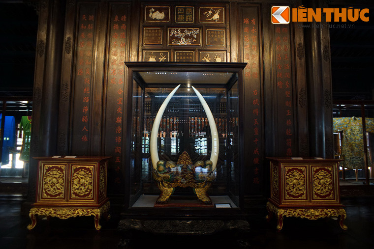 Bảo tàng Cổ vật cung đình Huế là nơi đang lưu giữ một cặp ngà voi cổ được coi là lớn nhất nhì Việt Nam.