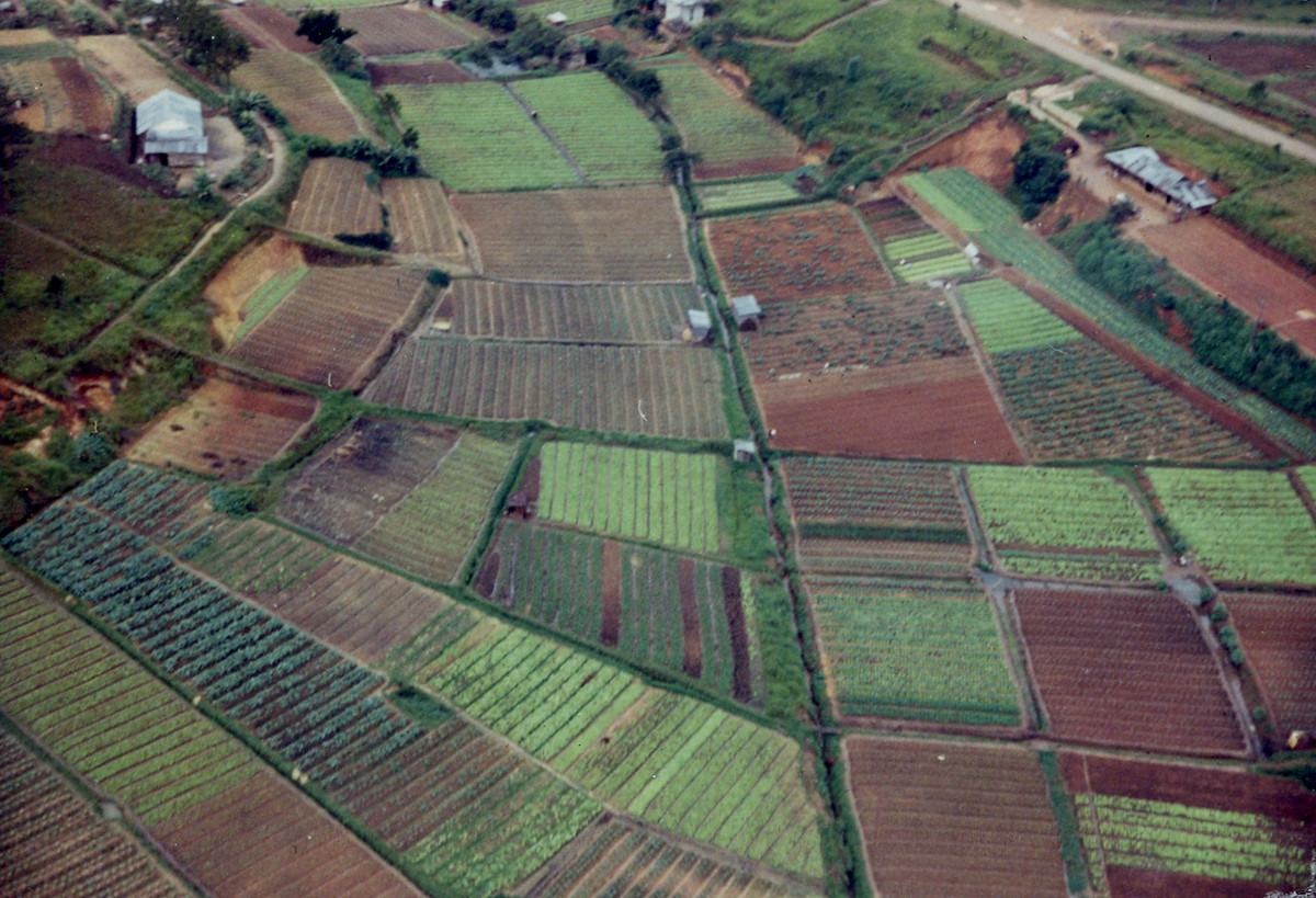 Các cánh đồng ở ngoại ô Đà Lạt. Ảnh: Tom Petersen.