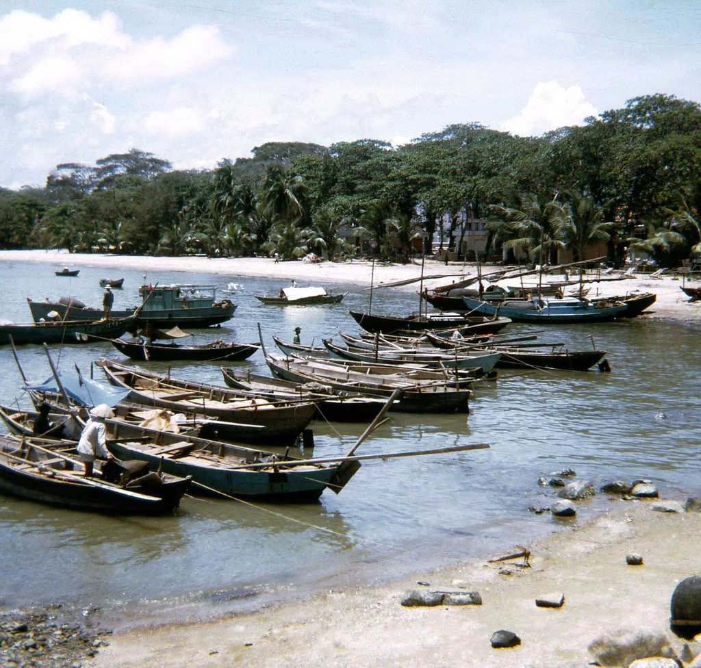 Một bến cá ở Vũng Tàu. Ảnh: David Schofield.