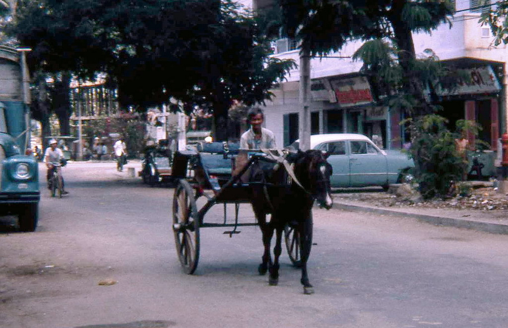 Xe ngựa trên đường phố Vũng Tàu. Ảnh: David Schofield.
