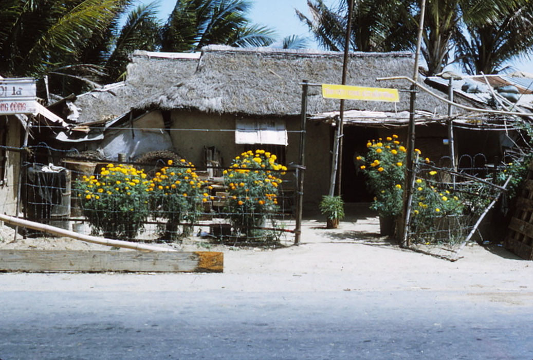 Sắc hoa trước sân một ngôi nhà bên Quốc lộ 1. Ảnh: Steve.