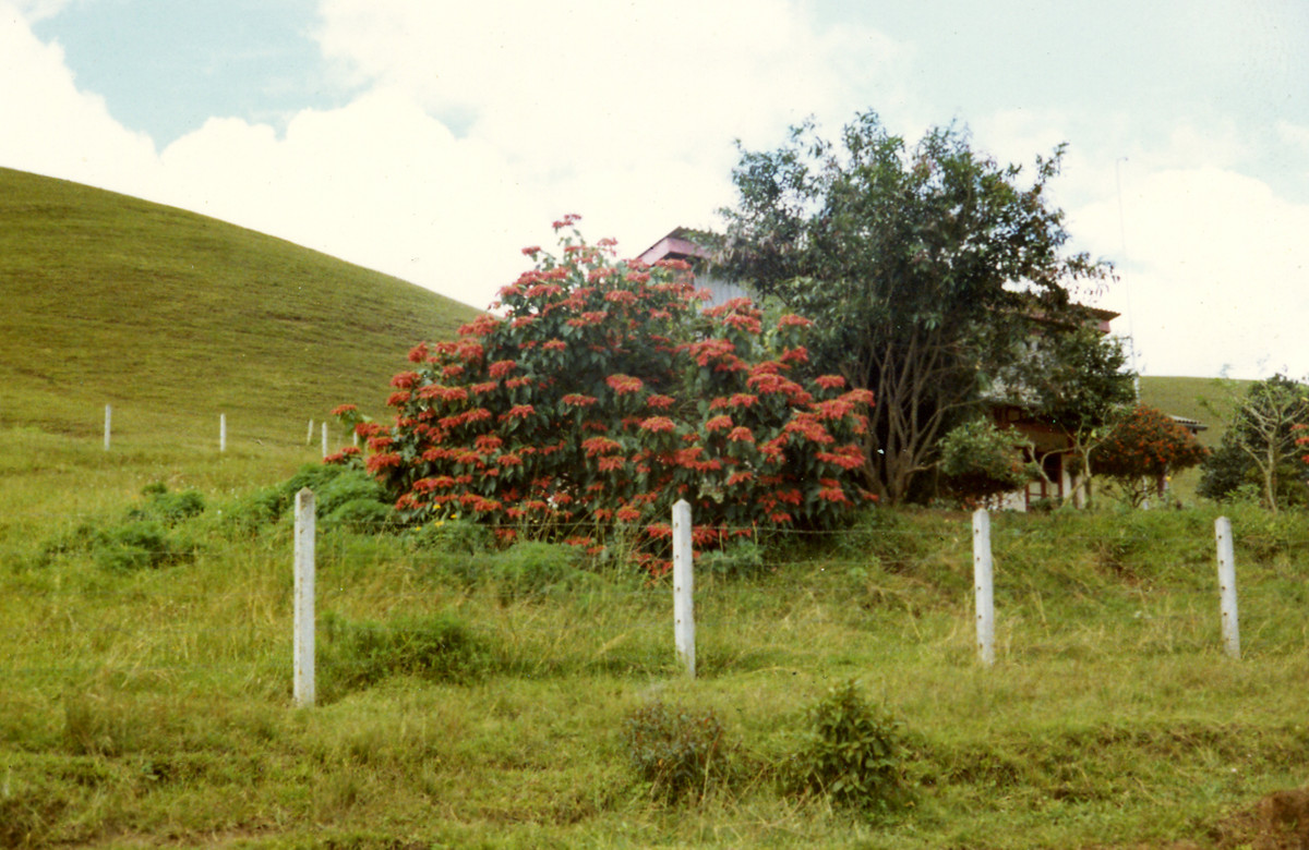 Khung cảnh ngoại ô Đà Lạt. Ảnh: Tom Petersen.
