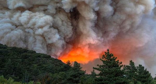 Những đám mây này lớn đến mức còn làm ảnh hưởng đến thời tiết, tạo ra sét và khiến cho bầu trời có nhiều màu sắc khác nhau. Khói cháy rừng chứa các hạt nhỏ độc hại đe dọa đến sức khỏe của con người.