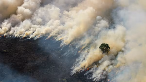 Năm 2015, một nghiên cứu dài hạn đã xây dựng được mối liên kết giữa các yếu tố cấu thành của khói với việc tăng nguy cơ đau tim, đột quỵ và tử vong sớm. Người già và trẻ em là những đối tượng đặc biệt dễ bị ảnh hưởng.