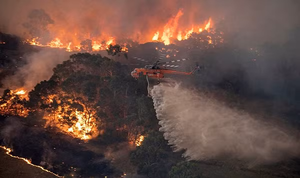Nguy hiểm hơn, con người không có biện pháp nào để thoát khỏi những đám khói cháy rừng đó. Chúng mang theo các hạt vật chất cháy cực nhỏ (được hình thành do các phản ứng hóa học) đến mọi nơi – bất chấp khoảng cách.