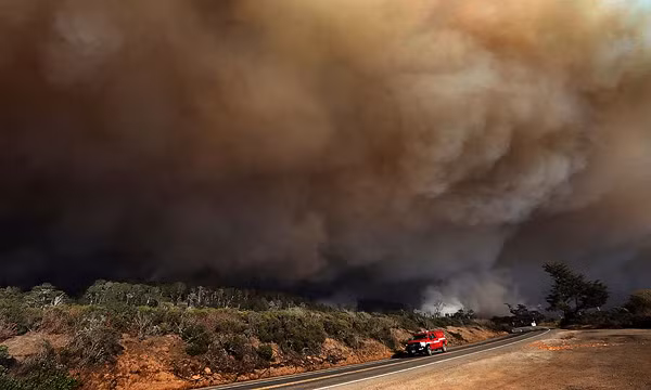 Nhiều người coi cháy rừng chỉ là vấn đề của một địa phương nào đó cụ thể, và chỉ những cư dân bản địa thì mới bị ảnh hưởng. Thế nhưng khói từ các đám cháy rừng sẽ bốc lên mỗi lúc một cao cho tới khi chạm tới bầu khí quyển. Sau đó, khói đi vào hệ thống thời tiết và nó sẽ bị đẩy trở lại mặt đất và lan khắp các vùng khác.