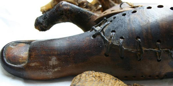 Với phát hiện này, ngón chân giả trên được đánh giá là cổ xưa nhất trong lịch sử nhân loại. Người sử dụng ngón chân giả này sẽ dễ dàng cử động, thuận tiện trong việc đi lại.