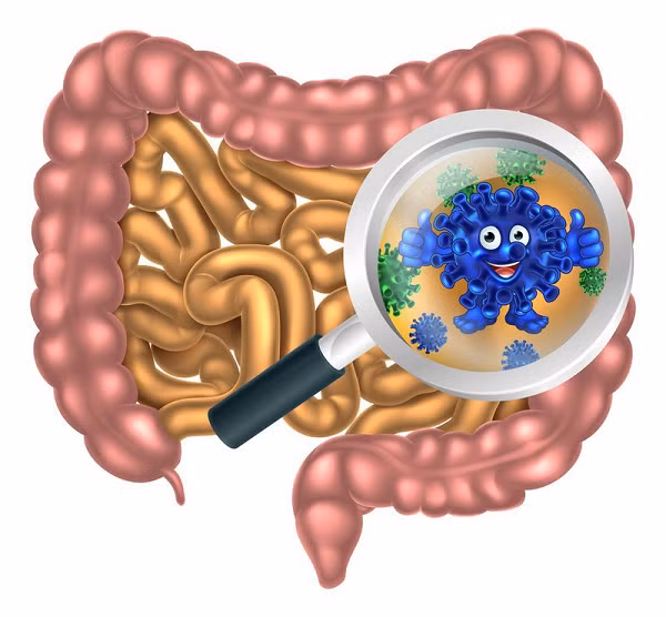 Mật là chất lỏng màu vàng xanh do gan tạo ra và được lưu trữ trong túi mật. Axit mật là các hợp chất trong mật hỗ trợ tiêu hóa, đặc biệt là chất béo.
