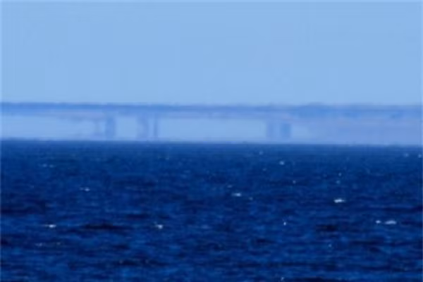 Bên cạnh đó, Aubeck và Shough cho rằng, một đàn chim sáo đá lớn bất thường có thể trông giống với cảnh tượng như vậy. Các đàn đôi khi hợp nhất với nhau thành những hình khối xác định, di chuyển theo khuôn mẫu trước khi tan ra.