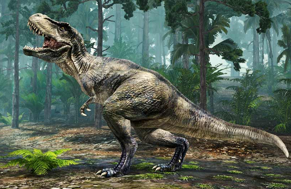 Nhưng giả thiết này không hoàn toàn hợp lý khi với khối lượng đồ sộ, khủng long bạo chúa cần một lượng thức ăn lớn mỗi ngày. Ăn xác thối đồng nghĩa với việc chúng không thể chủ động được về nguồn thức ăn.