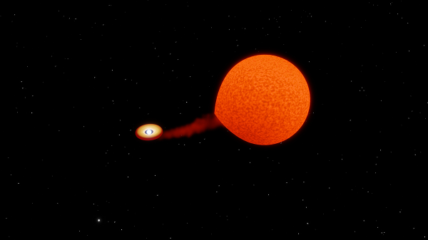 Theo phó giáo sư JJ Hermes từ Đại học Khoa học và nghệ thuật Boston, ngôi sao này thực chất là một phần còn sót lại sau một vụ nổ sao lùn trắng khổng lồ.