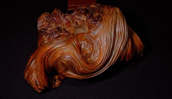 Đặc biệt, phần rễ và thân cây Nhai bách đã chết trong các vết nứt trên đá ở dãy núi Thái Hành Sơn ở phía Bắc Trung Quốc có giá trị hơn cả.