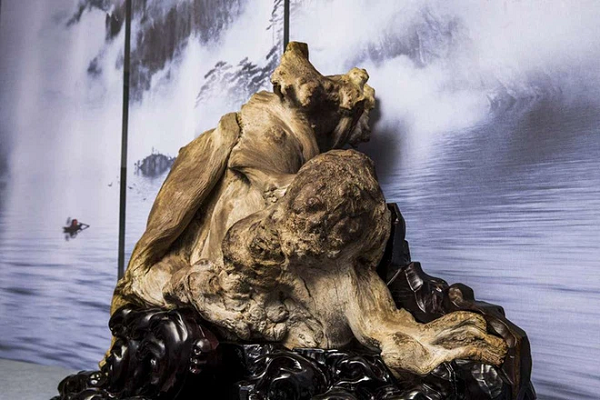 Từ xa xưa, Nhai bách đã được biết đến trong thơ ca, hội họa. Đặc biệt, trong các tác phẩm tranh thủy mặc cổ Trung quốc, ta vẫn thấy hình ảnh Nhai bách ẩn hiện trên các ngon núi cao.