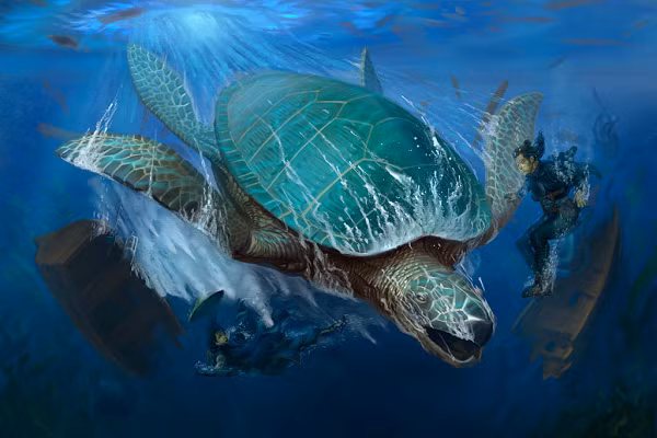 Sau khi so sánh những hình ảnh này với một loài rùa còn sống có quan hệ họ hàng xa. Đặc biệt, phôi thai bên trong thành hình tốt, đã đạt mức phát triển đến 85%.