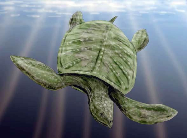 Phôi thai trong các quả trứng còn nguyên vẹn dù có niên đại lên tới 90 triệu năm, không phải nhờ vỏ trứng dày mà nhờ người mẹ "quái thú" đã chôn ổ trứng thật sâu dưới đất ẩm để bảo vệ chúng khỏi bị khô.