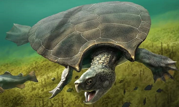 Yuchelys nanyagensis là một loài rùa "quái thú" đã tuyệt chủng cùng với toàn bộ khủng long trên Trái Đất trong thảm họa tiểu hành tinh Chicxulub 66 triệu năm trước.