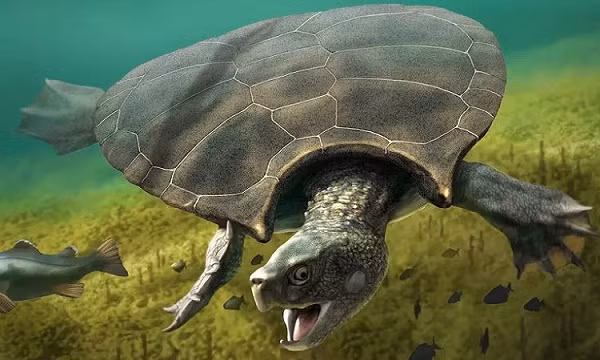 Yuchelys nanyagensis là một loài rùa "quái thú" đã tuyệt chủng cùng với toàn bộ khủng long trên Trái Đất trong thảm họa tiểu hành tinh Chicxulub 66 triệu năm trước.