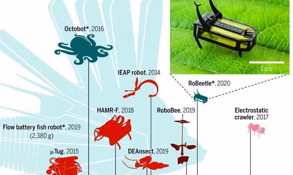 Khi dây cơ nóng và co lại, những van vi mạch nhỏ trong robot tự động đóng lại, ngừng quá trình đốt cháy, giúp sườn và các chi cử động.