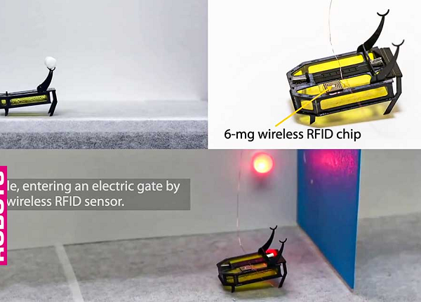 Các kỹ sư cho biết những con microbot như RoBeetle này có thể được ứng dụng trong nhiều lĩnh vực, chẳng hạn như giúp thực vật thụ phấn nhân tạo, do thám quân sự hoặc thậm chí thực hiện các thủ thuật phẫu thuật.