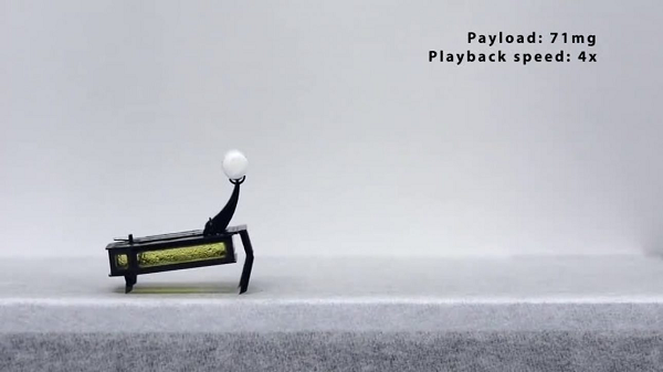 RoBeetle có khả năng leo qua các địa hình phức tạp và mang vác các vật thể nặng gấp nhiều lần trọng lượng của mình. Kích thước robot nhỏ, chỉ nặng khoảng 88 milligram, dài vài centimet như độ lớn thật của bọ cánh cứng ngoài thực tế.