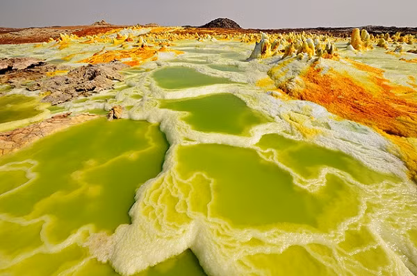 Từ năm 2016 đến 2018, các nhà khoa học đã triển khai một loạt nghiên cứu kỹ thuật để tìm kiếm dấu vết sự sống trong hệ thống suối địa nhiệt Dallol.