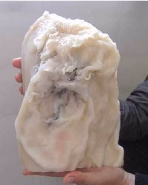 Hàm lượng nước trong linh chi thái tuế càng thấp có nghĩa là thời gian sinh trưởng càng dài và chất lượng của linh chi càng tốt, vì vậy giá cả tương đối đắt.