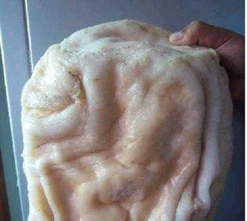 Linh chi Thái Tuế có nhiều tác dụng thần kỳ hơn yến xào, nó không những cải thiện hệ thống tuần hoàn của cơ thể mà còn điều tiết hormone estrogen và kích thích sản sinh tế bào miễn dịch một cách tối ưu.