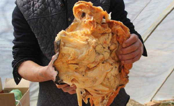 Theo quan điểm về độ tinh khiết, linh chi hoang mọc trong đất, trong quá trình sinh trưởng thường hấp thụ một số tạp chất hoặc bị ngâm trong nước giá trị sẽ thấp hơn.