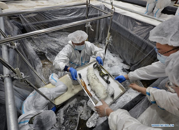 Tình huống này rất khó kiểm soát nên các chuyên gia không dám tiếp tục khai quật vì sợ sẽ phá hủy các di tích cũng như hiện vật khảo cổ.