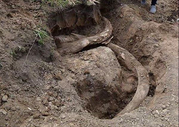 Di chỉ Kim Sa ở tỉnh Tứ Xuyên được phát hiện một cách tình cờ khi nhóm công nhân của một công trình xây dựng đào được mẩu xương và công cụ đá.