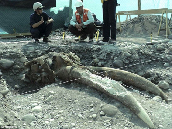 Ngoài ngà voi, các nhà khảo cổ còn phát hiện các công cụ bằng vàng, đá, ngọc và gốm sứ với số lượng lên đến hàng nghìn vật phẩm, tổng giá trị khó có thể tính toán được.