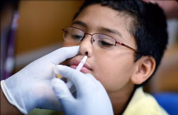 Vắc xin tiêm bắp tạo ra kháng thể IgG trong máu, nhưng vắc xin xịt mũi cũng tạo ra phản ứng IgA bảo vệ màng nhầy.