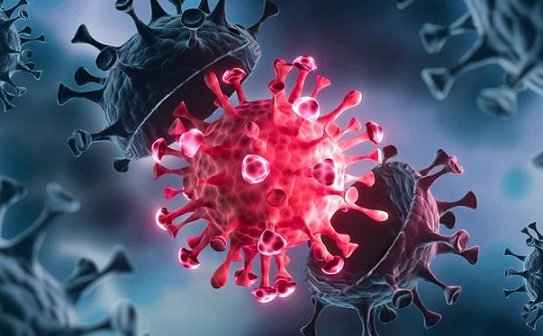 Nói cách khác, có khả năng vắc-xin COVID-19 sẽ không thể chống lại đột biến này một cách hiệu quả. Biến thể Delta Plus cũng giống như vậy, gây lo ngại làm ảnh hưởng tới các liệu pháp kháng thể được sử dụng để điều trị COVID-19.