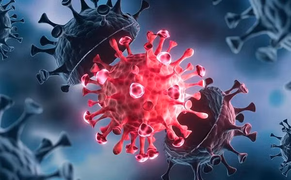 Nói cách khác, có khả năng vắc-xin COVID-19 sẽ không thể chống lại đột biến này một cách hiệu quả. Biến thể Delta Plus cũng giống như vậy, gây lo ngại làm ảnh hưởng tới các liệu pháp kháng thể được sử dụng để điều trị COVID-19.