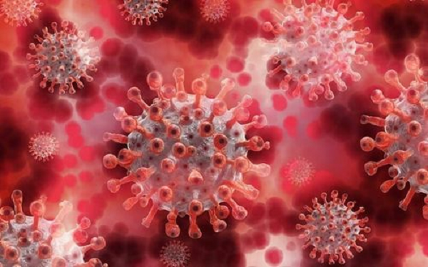 Mới đây, tại Hàn Quốc đã phát hiện 2 ca mắc biến thể Delta Plus của virus SARS-CoV-2. Biến thể Delta Plus là "hậu duệ" của biến thể Delta lần đầu tiên xuất hiện ở Ấn Độ. Delta Plus có một đột biến bổ sung được gọi là K417N, giúp phân biệt nó với biến thể Delta thông thường.