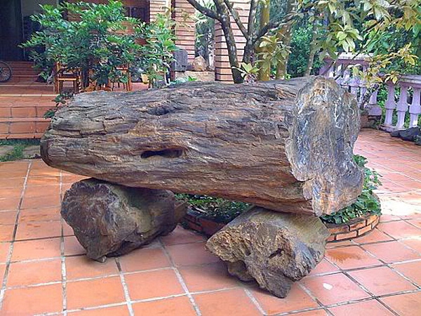 Gỗ hóa thạch rất cứng, có thể sử dụng làm đồ mỹ nghệ. Với những khúc to, người ta có thể cưa ra làm bàn, ghế vì nó không bị mưa gió hay thời tiết làm cho hư hỏng, mục nát.