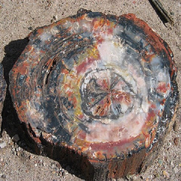 Một số tin đồn còn cho rằng loại đá này có thể chữa được bệnh, kéo dài tuổi thọ song đây đều là những thông tin thất thiệt, không có cơ sở.