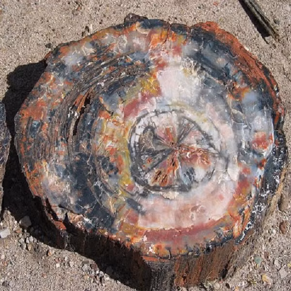 Một số tin đồn còn cho rằng loại đá này có thể chữa được bệnh, kéo dài tuổi thọ song đây đều là những thông tin thất thiệt, không có cơ sở.