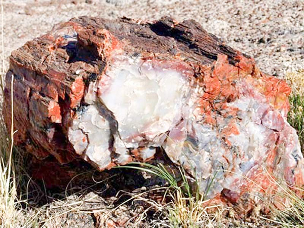 Loại gỗ này có tác dụng tốt đối với sức khoẻ nhờ nguồn năng lượng tích cực trải qua hàng triệu năm nên thu hút được tinh tuý của trời đất. Năng lượng này sẽ giúp gia chủ có nhiều may mắn, bình an và tài lộc.